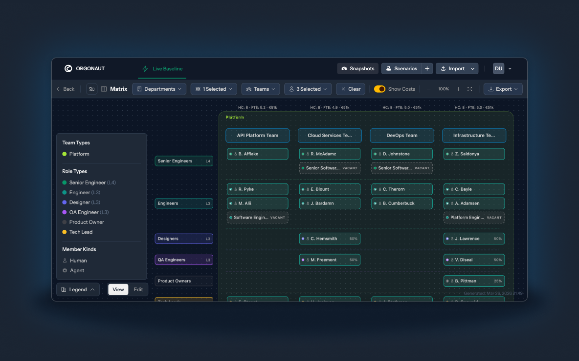 Orgonaut matrix view showing teams, roles, cost, and allocation